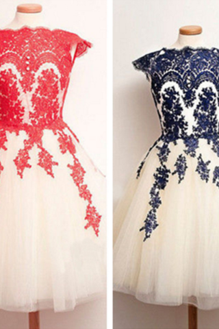 Pretty Lace Sleeveless Princess Dress